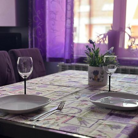 Apartment Lavender, Near To Airport Sofya Dış mekan fotoğraf