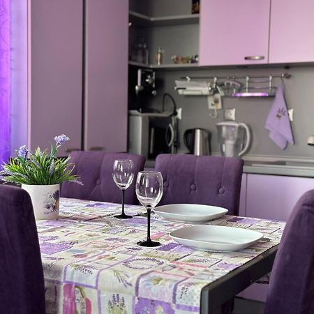 Apartment Lavender, Near To Airport Sofya Dış mekan fotoğraf