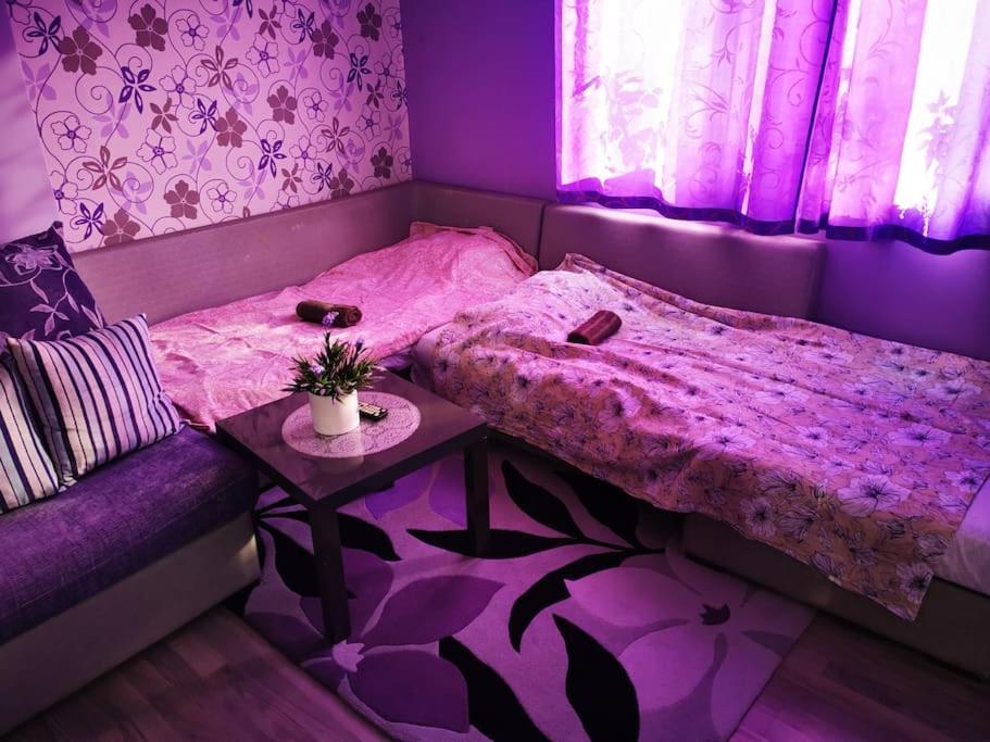 Apartment Lavender, Near To Airport Sofya Dış mekan fotoğraf